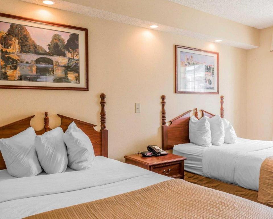 Rodeway Inn Sylacauga Hwy 280 Extérieur photo