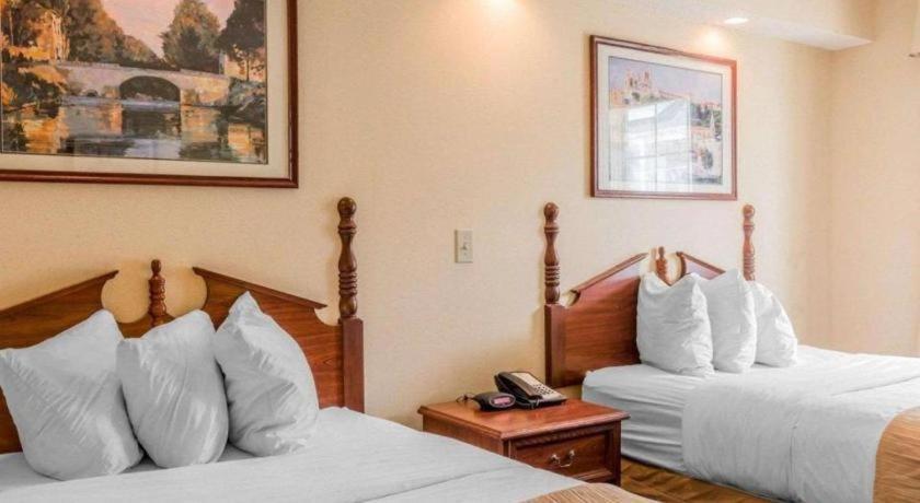 Rodeway Inn Sylacauga Hwy 280 Extérieur photo